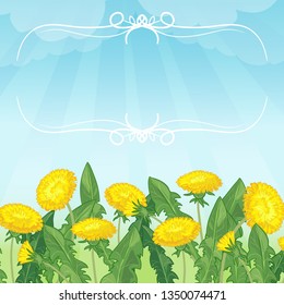 Decorative floral background with dandelion, vector image, eps10