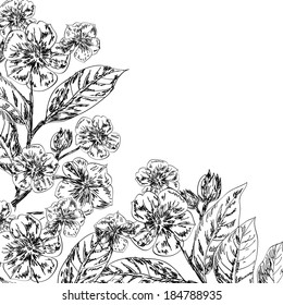 Decorative floral background with flowers