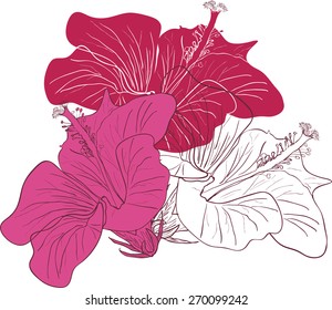 Decorative floral background with flowers hibiscus rose
