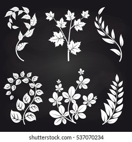 Decorative floral branches on blackboard background vector illustration