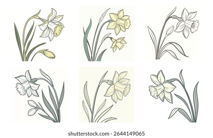 Decorative floral bundle of six hand drawn daffodil flower illustrations in minimalist style