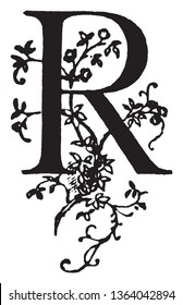 A decorative and floral capital letter R, vintage line drawing or engraving illustration