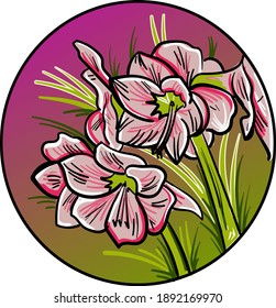 Decorative floral composition with amaryllis flowers. Hand-drawn round vector illustration.