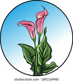 Composición floral decorativa con las flores de la calla. Ilustración de vector circular dibujada a mano.