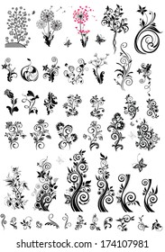 Elementos decorativos de diseño floral (blanco y negro)