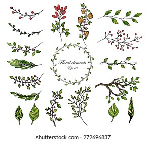 Decorative floral elements. Branches, leaves, berries. Vector illustration