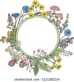 Decorative Floral Frame. Natural Herb Round Border