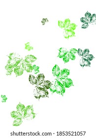 Decorative floral frames with green leaves and branches in watercolor style. Vector Illustration. Watercolor style.