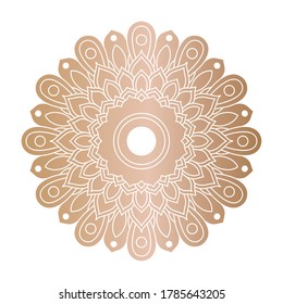 decorative floral golden mandala ethnicity artistic icon vector illustration design