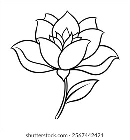 Decorative Floral Line Art Vectors for Invitations and More