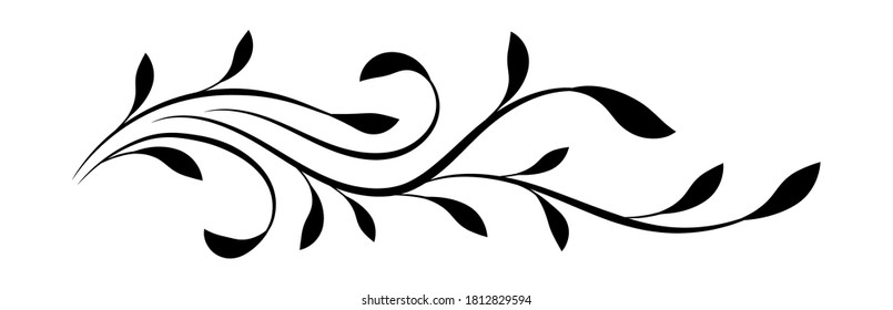 Decorative floral ornament isolated on white background