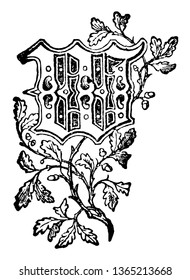 Decorative Floral W used at the start of a new chapter or heading, vintage line drawing or engraving illustration.