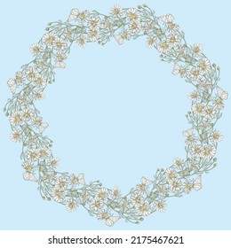 Decorative floral wreath from drawn meadow camomiles bunches