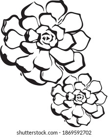 Decorative Flower. Abstract Flower. Hand drawn Flower for your design. for textile printing