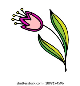 Decorative flower with a black contour on a white background. Linear vector hand drawing. Doodle floral element for design of cards, prints, textiles and background.