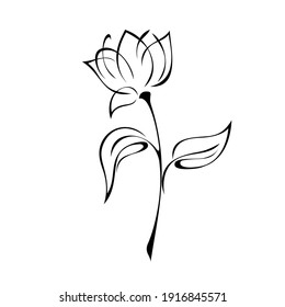 decorative flower Bud on stem with leaves in black lines on white background