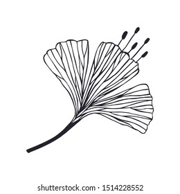 decorative flower. eps10 vector illustration. hand drawing