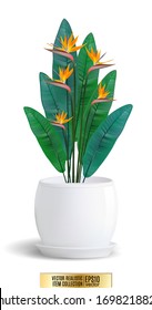 Decorative flower in flower-pot on white background. Vector realistic item, 3d illustration