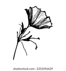 Decorative flower, free line. Vector stock illustration eps10.