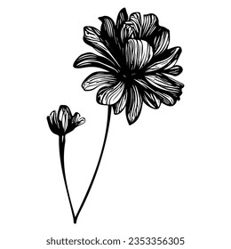 Decorative flower, free line. Vector stock illustration eps10.