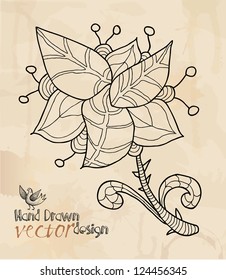 decorative flower, hand drawing, element pattern