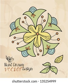decorative flower, hand drawing, element design