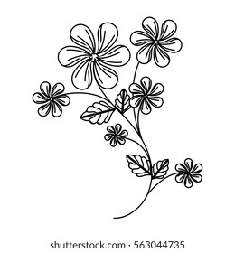 decorative flower isolated icon