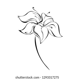 decorative flower with large petals on short stem in black lines on white background