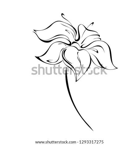 decorative flower with large petals on short stem in black lines on white background