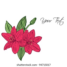 decorative flower lily background greeting card