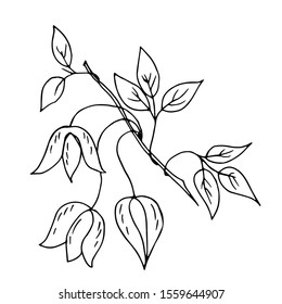 Decorative flower. Line drawing. Vector illustration.