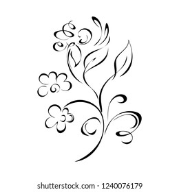 decorative flower on stem with leaves in black lines on white background