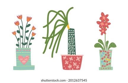Decorative Flower and Plant Growing in Ceramic Pot as Home Decor Vector Set