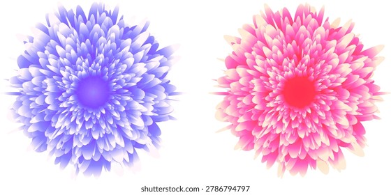 A decorative flower set featuring red and blue dahlias with elegant gradient colors. Vibrant floral design with a refined and stylish atmosphere, ideal for decorative graphics, botanical themes, and design elements. Vector illustration.