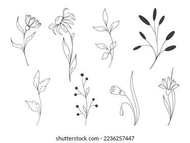 decorative flower set in vector and illustration