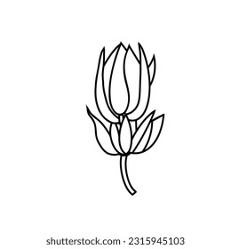 decorative flower, sketch of a vector drawing, isolated on a white background. collection of flowers