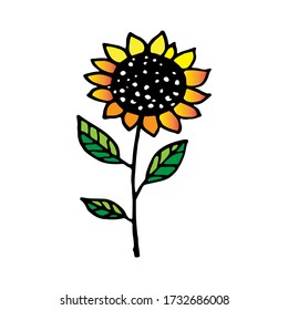 Decorative flower of a sunflower with a black contour on a white background. Linear vector hand drawing. Doodle floral element for design of cards, prints,textiles and background.