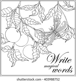 Decorative flowers, birds and butterflies. Coloring book for adult and older children. Coloring page with space for text. Outline drawing. Vector illustration.