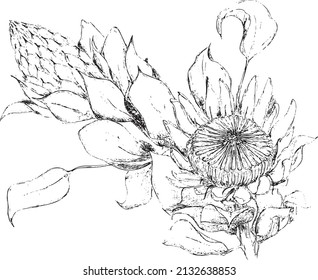Decorative flowers created by hand drawn line
