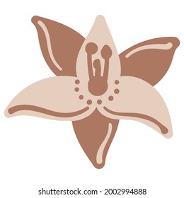 decorative flowers leaves and items to create postcards and patterns
