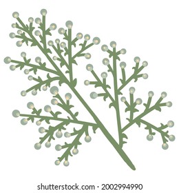 decorative flowers leaves and items to create postcards and patterns