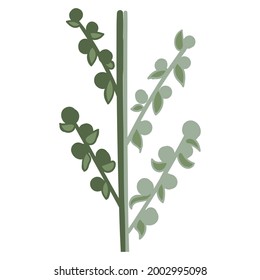 decorative flowers leaves and items to create postcards and patterns