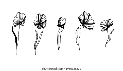 Decorative flowers, leaves. Linear drawing, vector, tattoo.