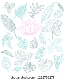 Decorative flowers and leaves set, design elements. Can be used for cards, invitations, banners, posters, print design. Floral background in line art style