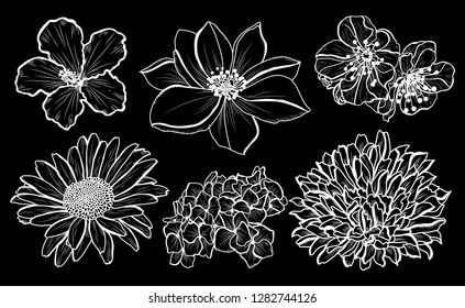 Decorative  flowers set, design elements. Can be used for cards, invitations, banners, posters, print design. Floral background in line art style