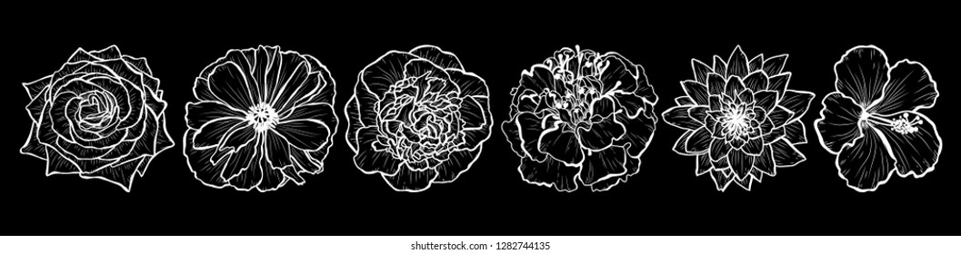 Decorative flowers set, design elements. Can be used for cards, invitations, banners, posters, print design. Floral background in line art style