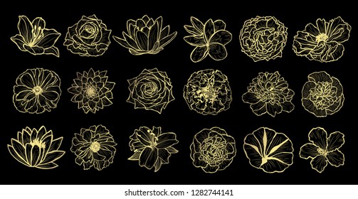 Decorative  flowers set, design elements. Can be used for cards, invitations, banners, posters, print design. Golden flowers