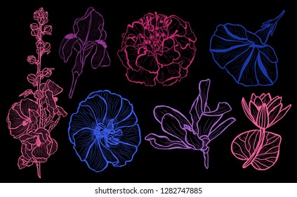 Decorative  flowers set, design elements. Can be used for cards, invitations, banners, posters, print design. Floral background in line art style