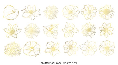 Decorative  flowers set, design elements. Can be used for cards, invitations, banners, posters, print design. Golden flowers
