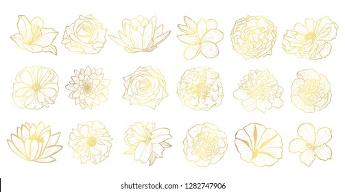 Decorative  flowers set, design elements. Can be used for cards, invitations, banners, posters, print design. Golden flowers